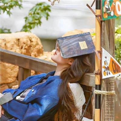 伊丽莎白：分联肖像